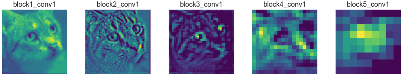 Feature maps showing CNN learning progression