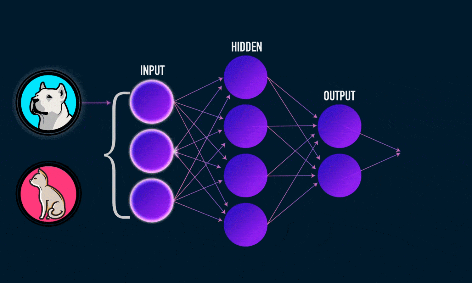 Animation of a neural network processing data