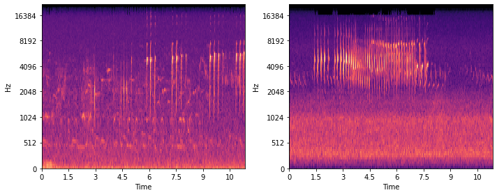 Mel spectograms birdsongs Black Deer AI