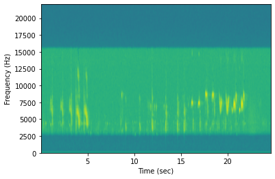 Spectogram example Black Deer AI